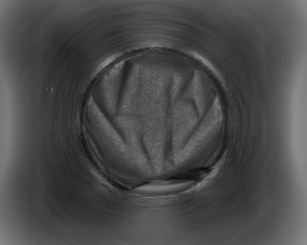 X0000084600977200703231923