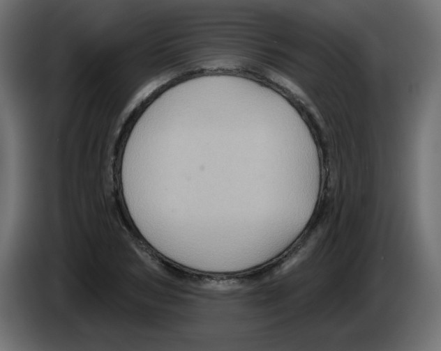 X0000084600978200703231923