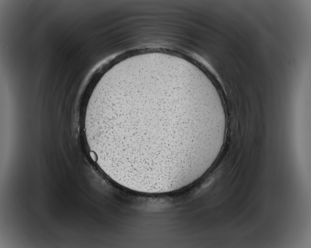 X0000084600979200703231923