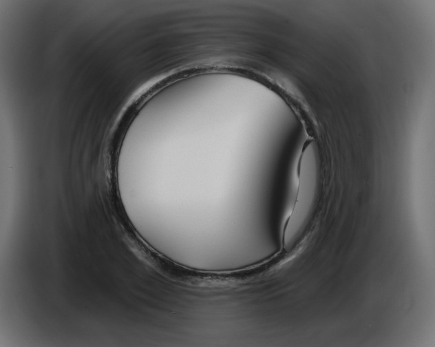 X0000084600981200703231923