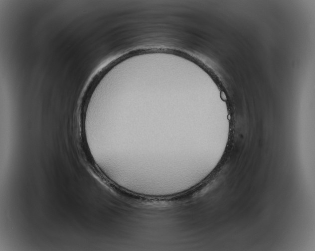 X0000084600982200703231923