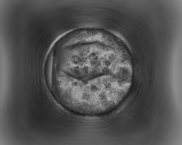 X0000084600983200703231923