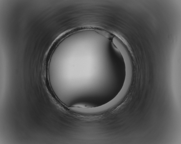 X0000084600984200703231923