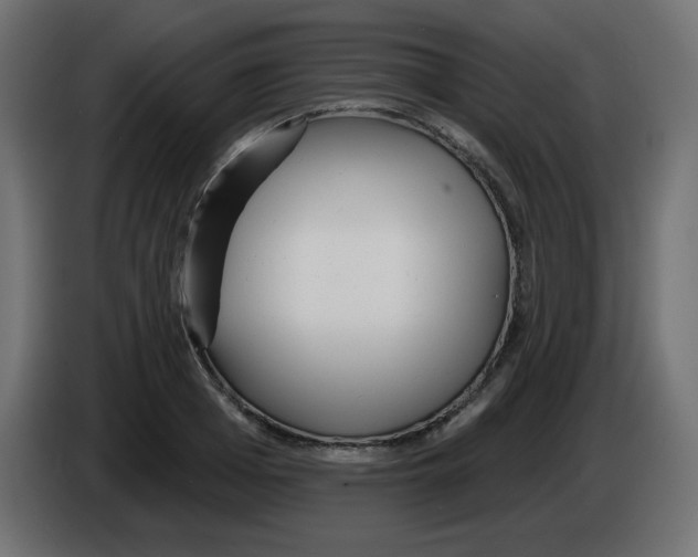 X0000084600985200703231923