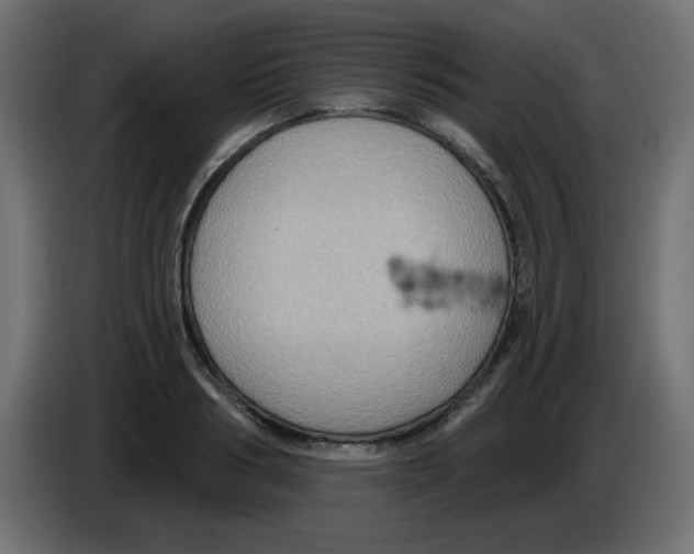 X0000084600986200703231923