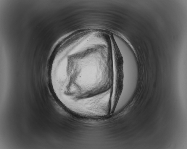 X0000084600987200703231923