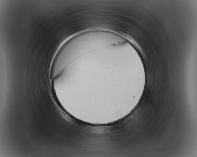 X0000084600988200703231923