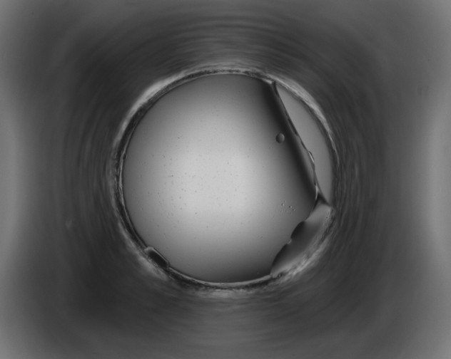 X0000084600989200703231923