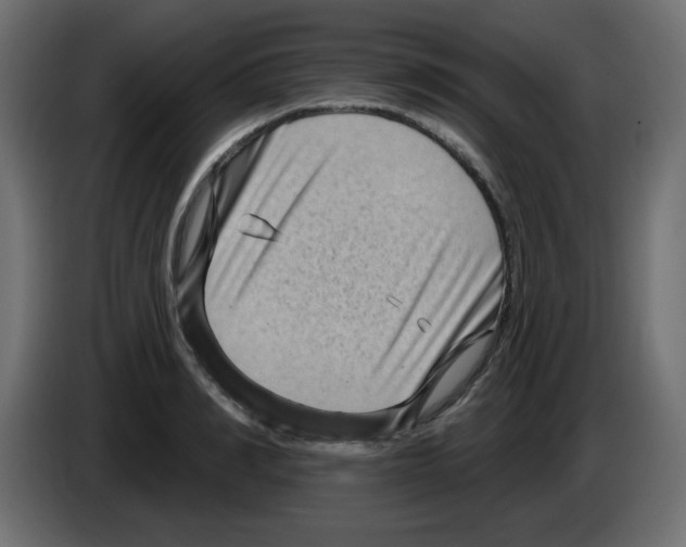 X0000084600990200703231923