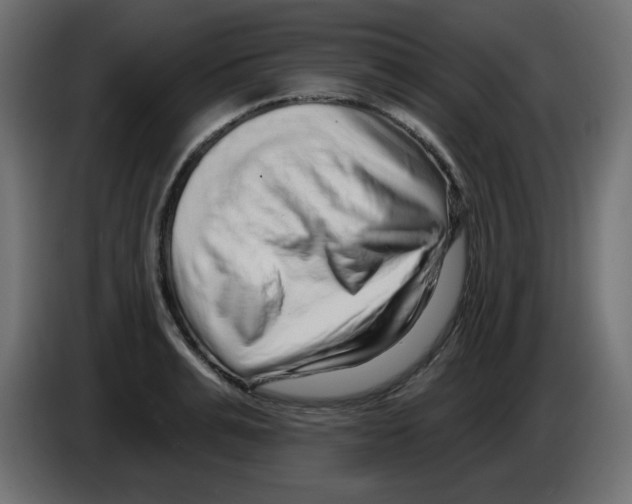 X0000084600991200703231923