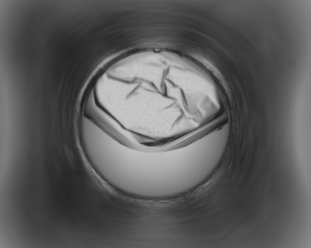 X0000084600992200703231923