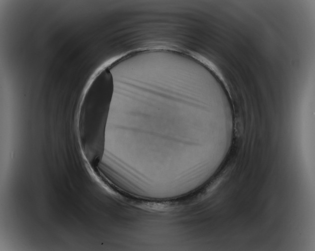 X0000084600995200703231923