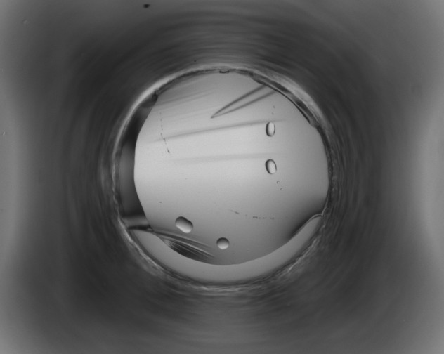 X0000084600996200703231923