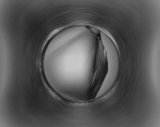 X0000084600997200703231923