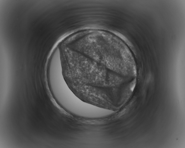 X0000084600998200703231923