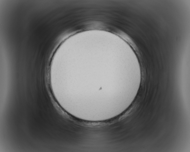 X0000084601000200703231923