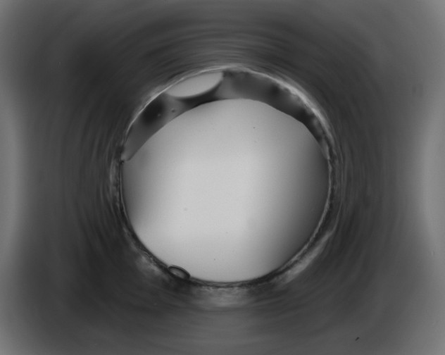 X0000084601001200703231923