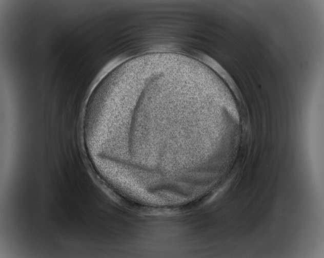 X0000084601002200703231923