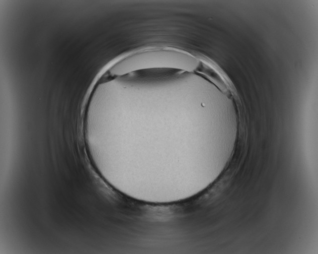 X0000084601004200703231923