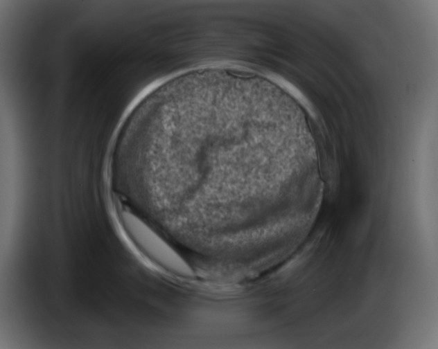 X0000084601007200703231923