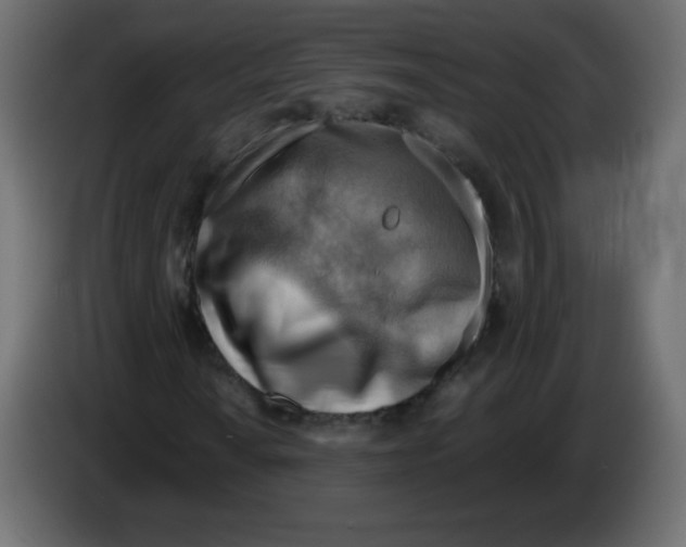 X0000084601010200703231922