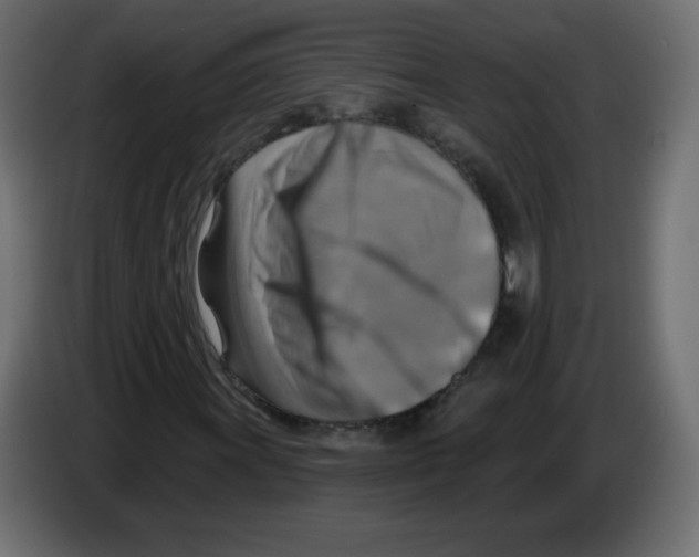 X0000084601011200703231922