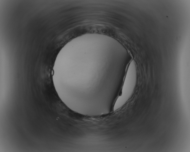 X0000084601013200703231922