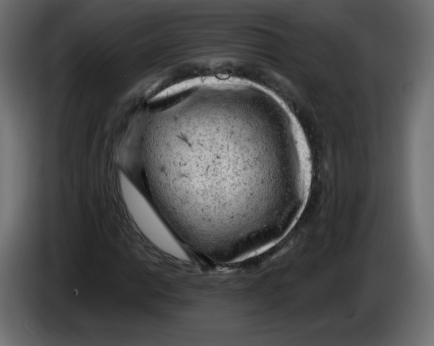 X0000084601014200703231922