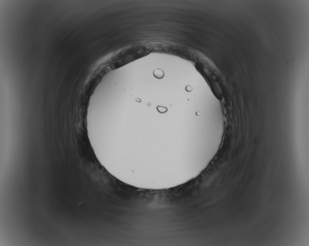 X0000084601016200703231922