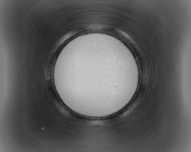 X0000084601017200703231922