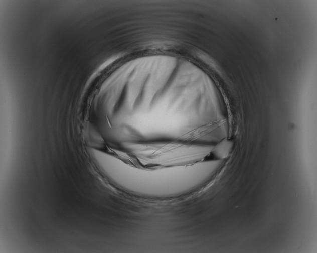 X0000084601018200703231922