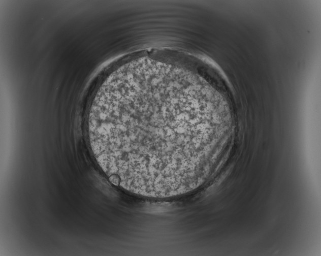 X0000084601019200703231922