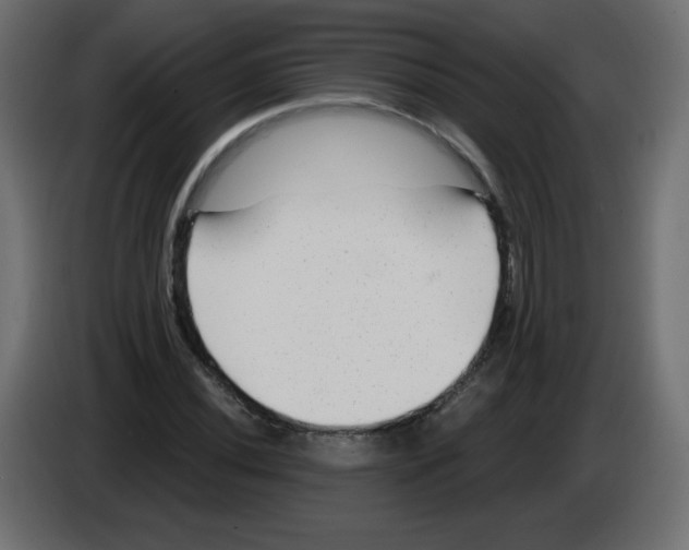 X0000084601020200703231922