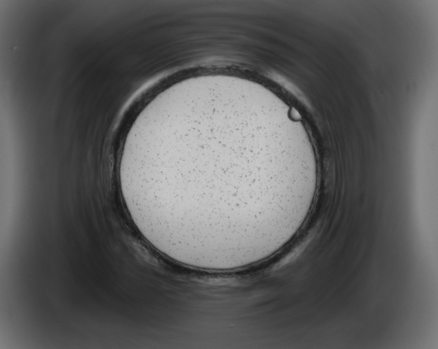 X0000084601021200703231922