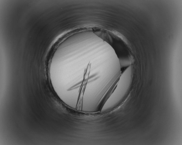 X0000084601022200703231922