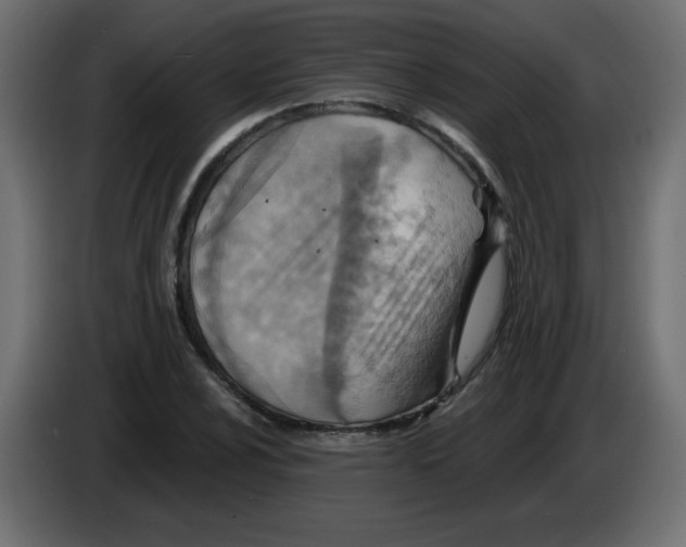 X0000084601024200703231922