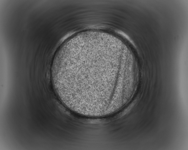 X0000084601025200703231922