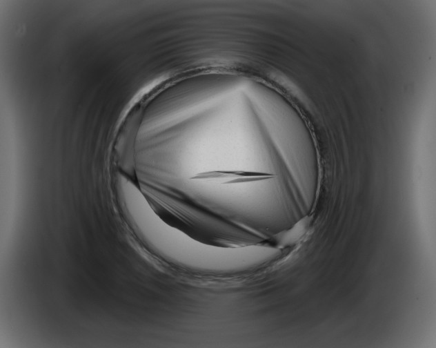 X0000084601026200703231922