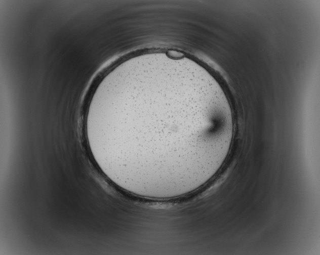 X0000084601029200703231922