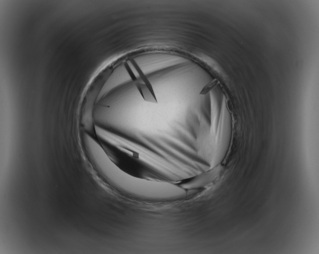 X0000084601030200703231922