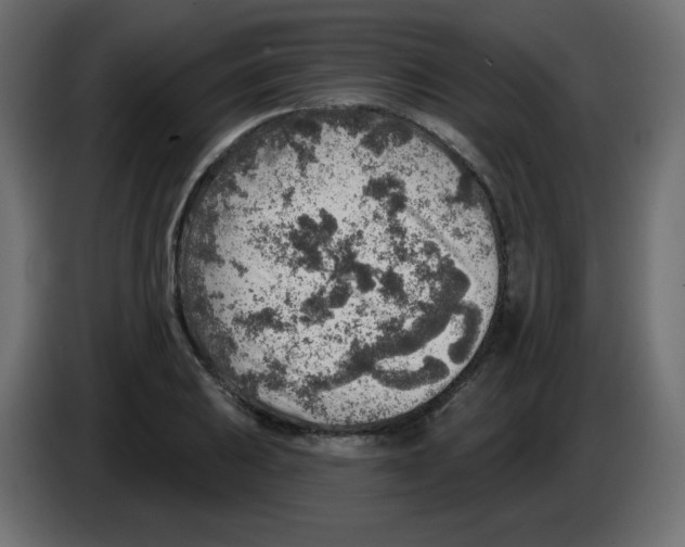 X0000084601031200703231922