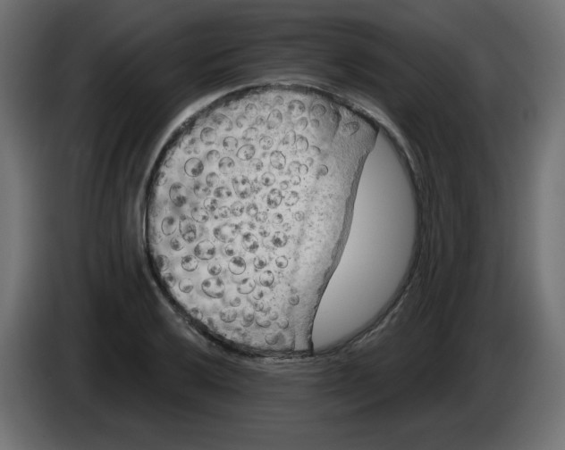 X0000084601032200703231922