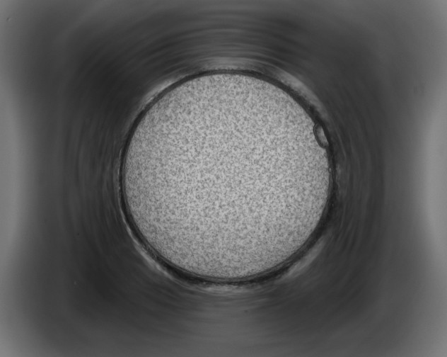 X0000084601033200703231922