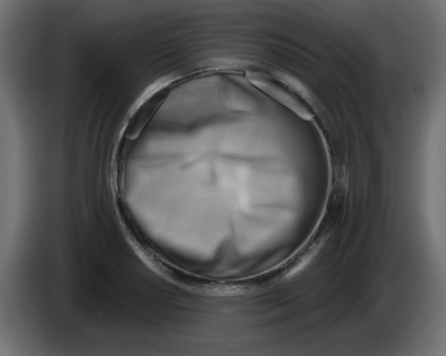 X0000084601034200703231922