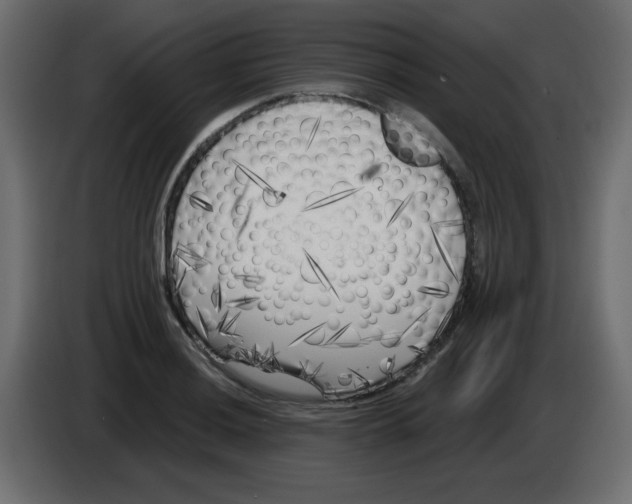 X0000084601036200703231922