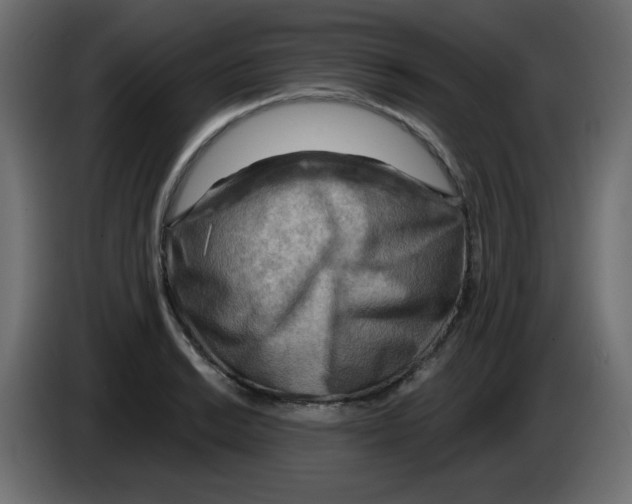 X0000084601038200703231922