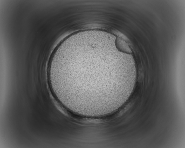 X0000084601039200703231922