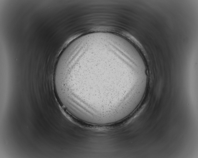 X0000084601041200703231922