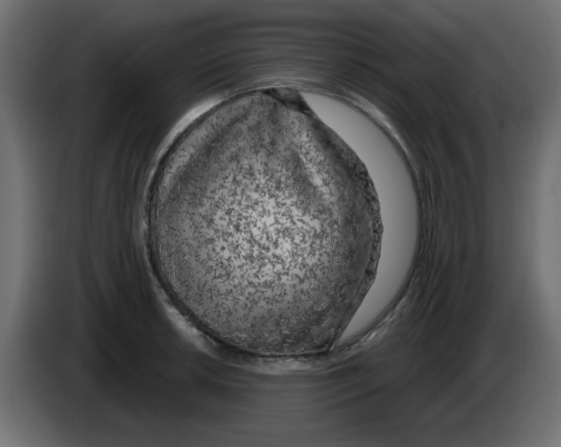 X0000084601042200703231922