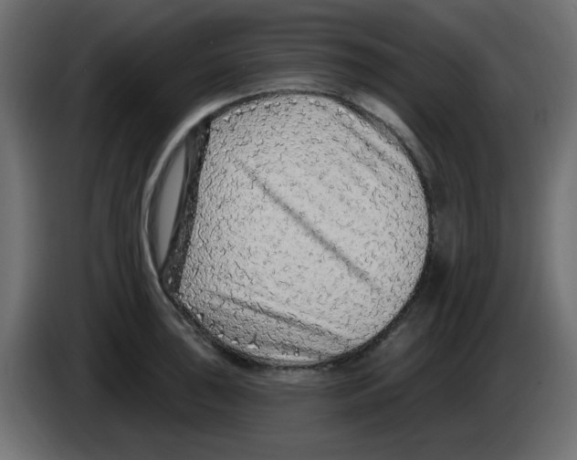 X0000084601043200703231922